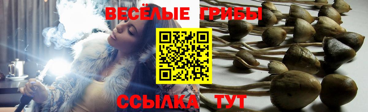 что такое наркотик  Галлюциногенные грибы ЛСД  Вход с VPN  Лесной  Псилоцибиновые грибы MAGIC MUSHROOMS 